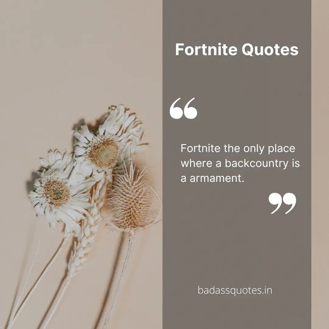 Fortnite Quotes