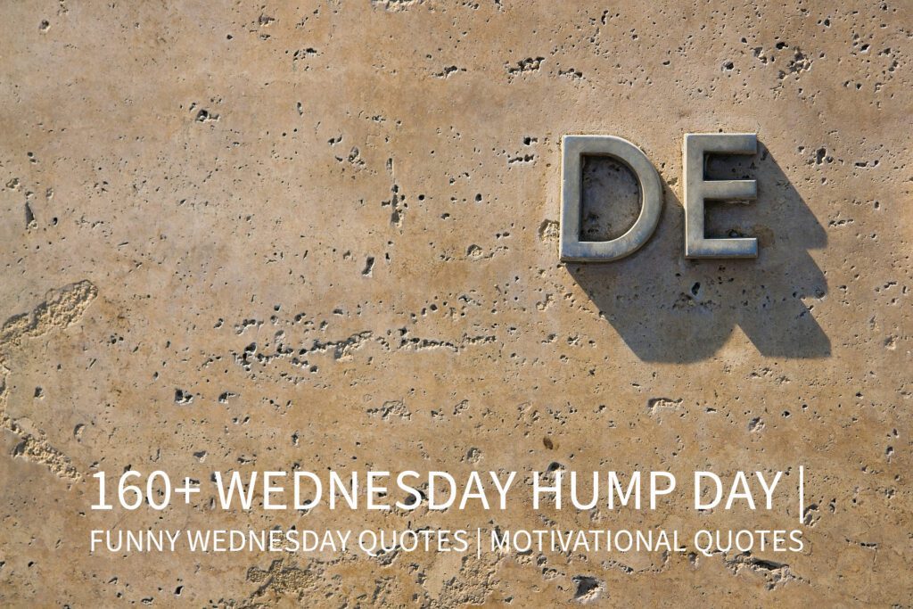 160+ Wednesday Hump Day | Funny Wednesday Quotes | Motivational Quotes 