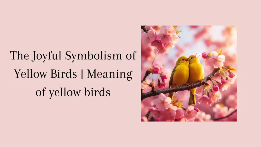 Meaning of yellow birds