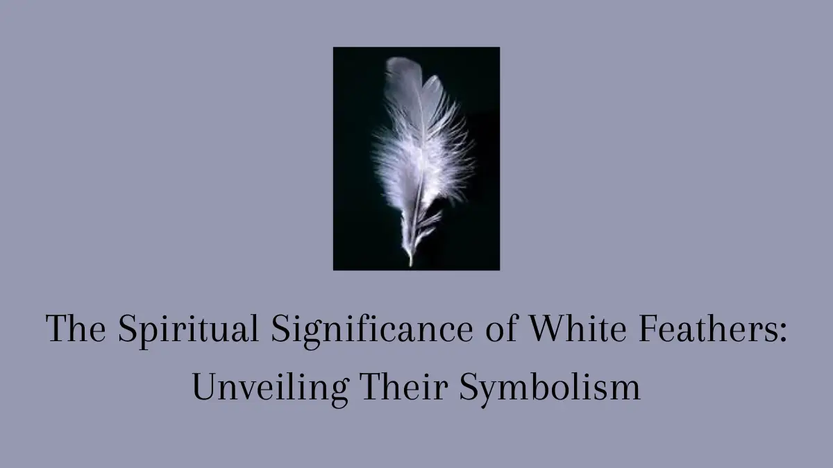 white feather meaning